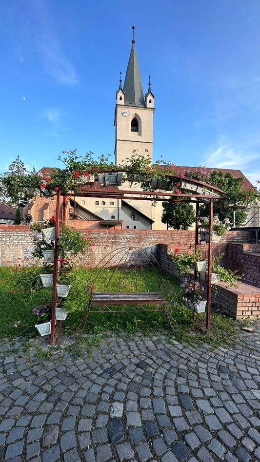 The Maze Smartphone App Walking Tour